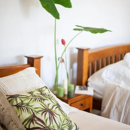 Tierra Magnifica Boutique Hotel Nosara Habitación foto